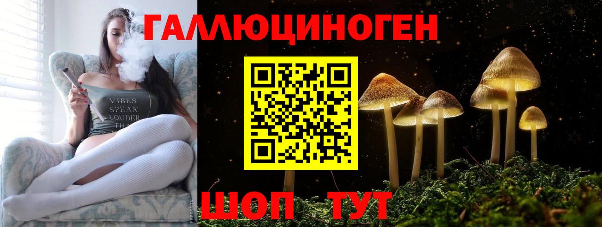 Назрань  Галлюциногенные грибы прущие грибы  Псилоцибиновые грибы Cubensis  Вход с VPN 